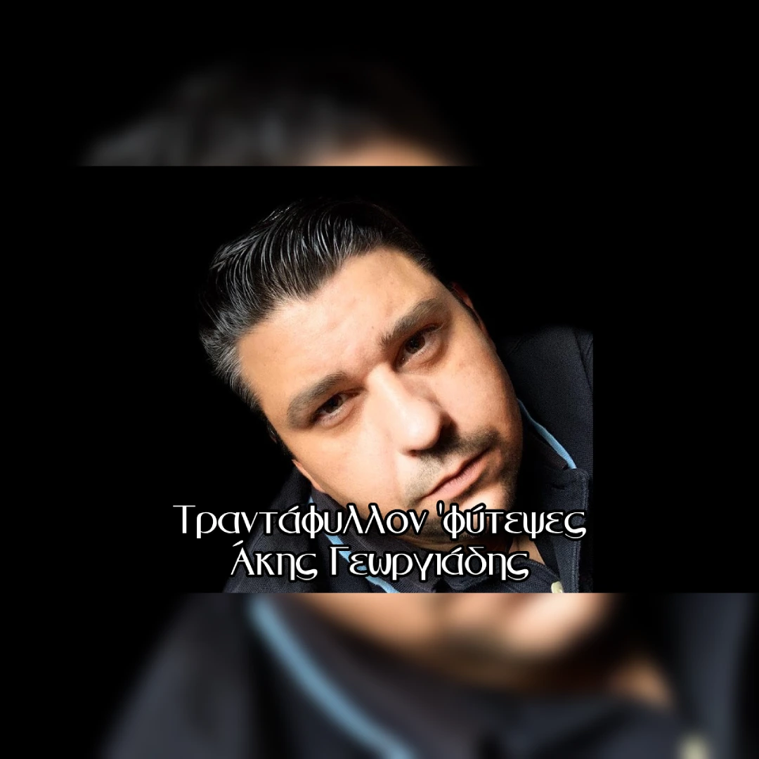 Τραντάφυλλον ’φύτεψες